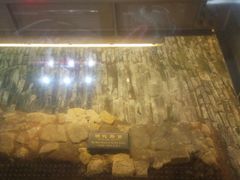 -北京路步行街-千年古道遗址