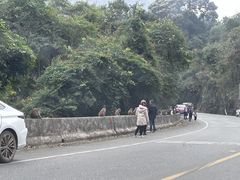 -广西龙虎山风景区
