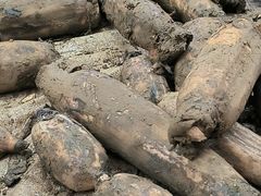 -昆明东站水果交易市场