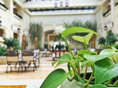 -利顺德大饭店·维多利亚花园(小白楼店)