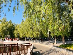 -莲花池公园