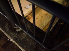 -台场海滨公园船码头