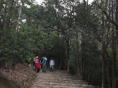 -大尖山公园