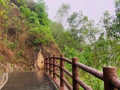 -羚羊峡古栈道森林公园