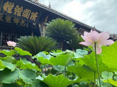 -宝光寺