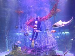 -沈阳海洋探索中心