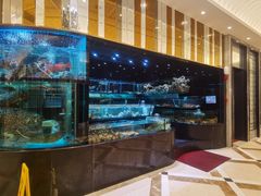 水产区-金翠皇宫粤菜·点心·海鲜(科技园店)