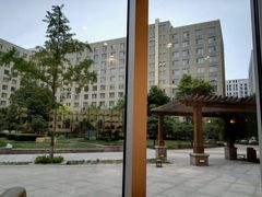 -天津滨海圣光皇冠假日酒店 霞·日餐厅