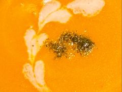 -Ginza Onodera铁板烧(外滩十八号店)