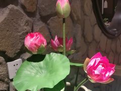 -毛家饭店·30年融合新湘菜(汉峪金谷店)