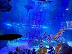 -沈阳海洋探索中心