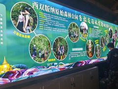 -西双版纳原始森林公园
