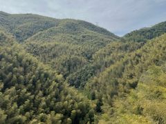 -莫干山风景区