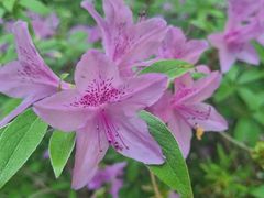 -长春市南湖公园