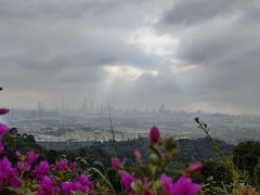-火炉山森林公园