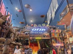 -卡通尼·Safari非洲探索乐园·生日会(金桥国际商业广场店)