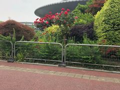 -杭州城北体育公园