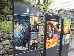 -怀托摩萤火虫洞