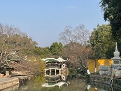 -江心屿景区