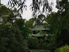 -棠湖公园