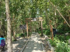 -白草畔自然风景区