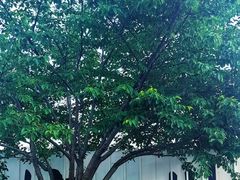 -杭州湖滨银泰in77