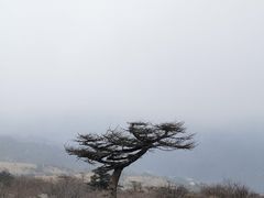 -秦岭风景区