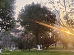 -堤角公园