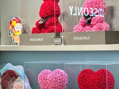 -ROSEONLY诺誓(国际广场购物中心店)