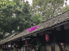 -安仁古镇
