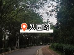 -广东茂名森林公园