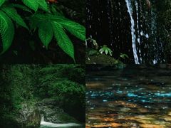 -瓦屋山景区