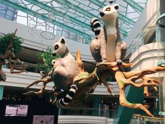 -大族广场Mall&More