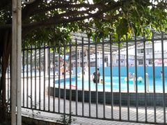 -牡丹游泳馆(金山馆)