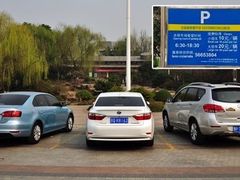 -大宁郁金香公园-停车场