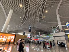 -青岛胶东国际机场