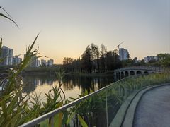 -四海公园(南山区)