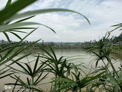 -枫香湖儿童公园