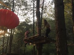 -梦幻奥陶纪景区