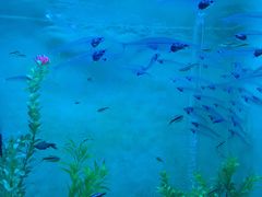 -常州海昌海洋探索馆