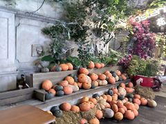 -Osteria Garden 生蚝花园餐厅(原进贤路店)