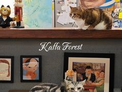 -咖法森林·咖啡  酒吧(天河店)