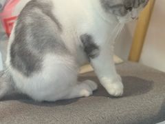 -seeu coffee(江滩店)