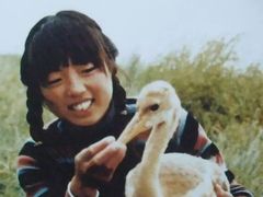 -盐城丹顶鹤湿地生态旅游区