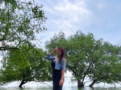 -宝安西湾红树林湿地公园