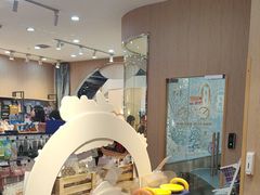 -BABIT巴比特宠物(MOMOPARK店)