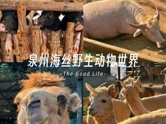 -泉州海丝野生动物世界