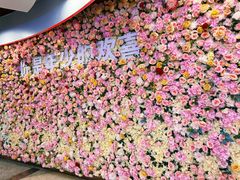 -万达广场(济南魏家庄店)