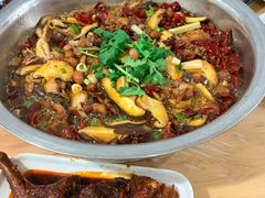 -食神又名厕所兔