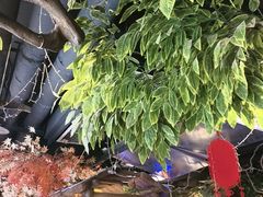 -城墙拐拐火锅(三峡广场黑金冠店)